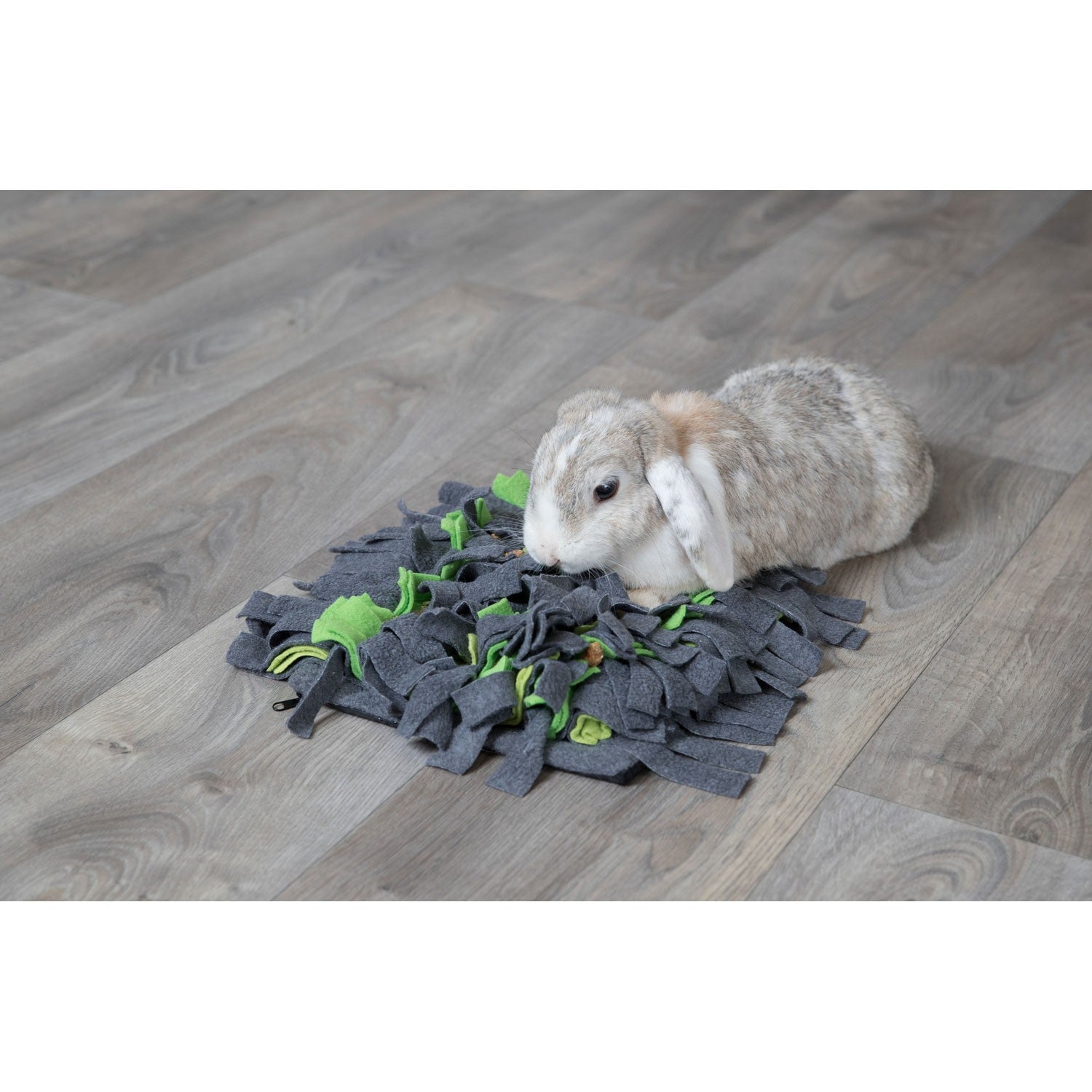 Alfombra para Olfatear gris/verde