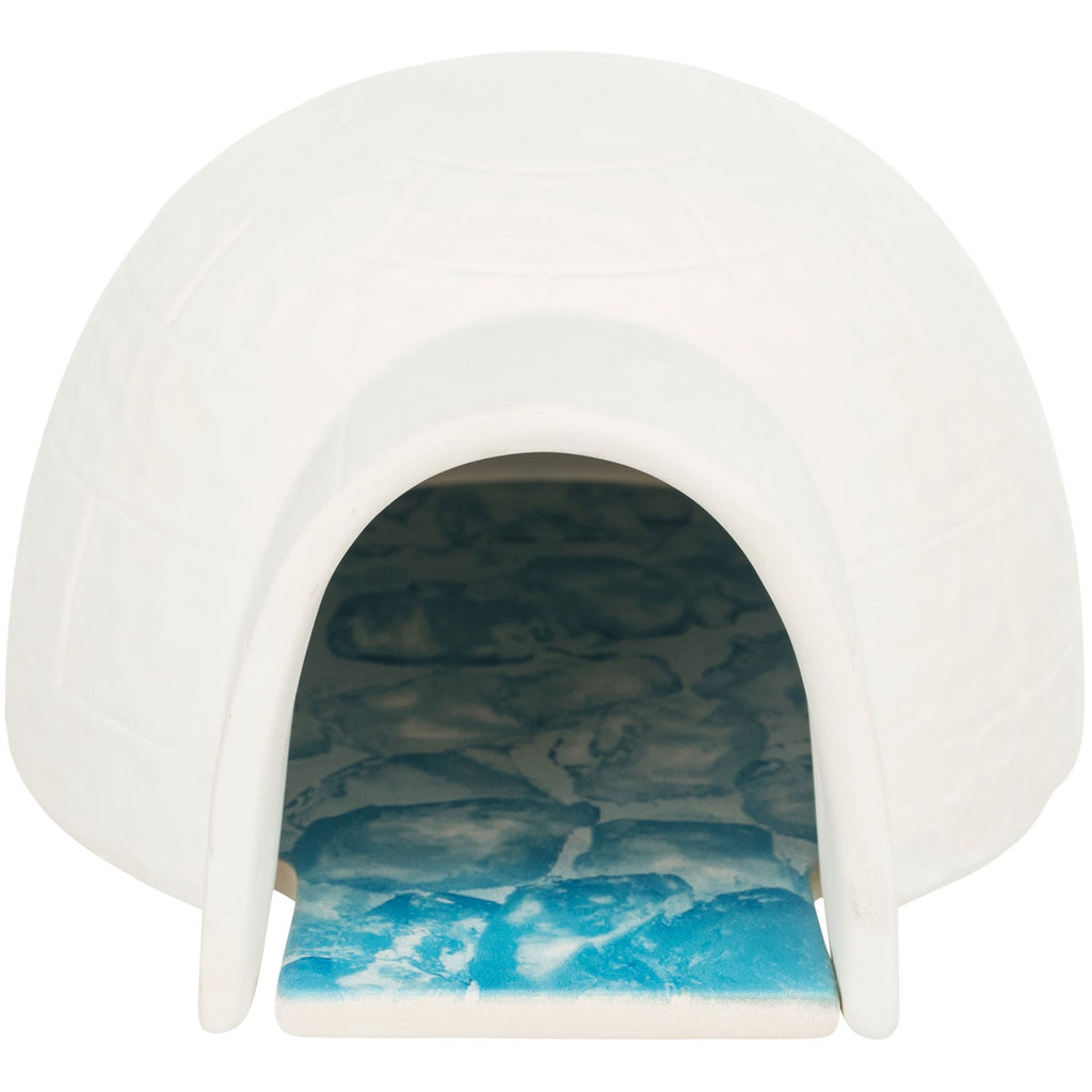 Iglú con placa de refrigeración - Pack de 3 unidades blanco
