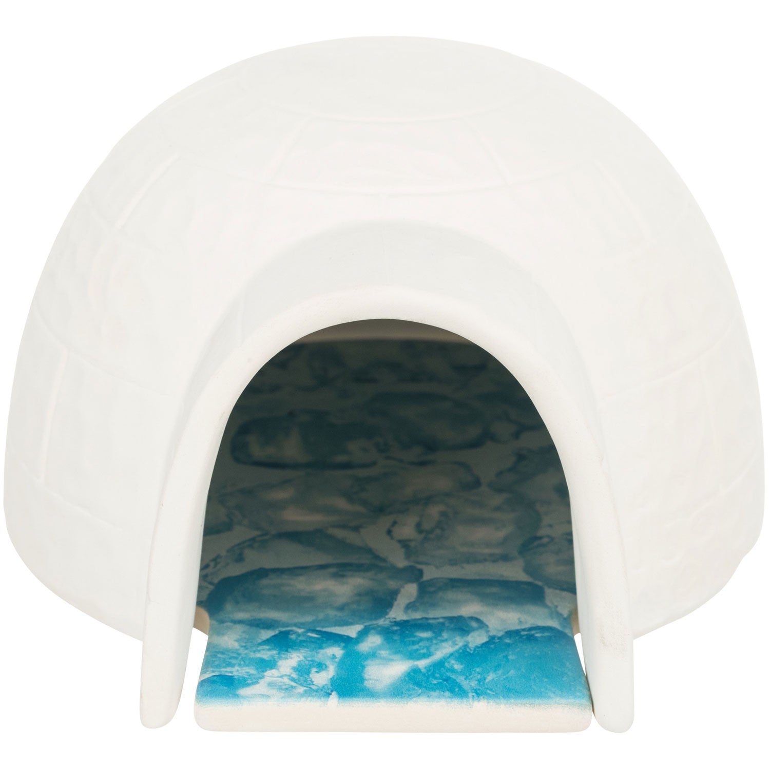 Iglú con placa de refrigeración - Pack de 3 unidades blanco