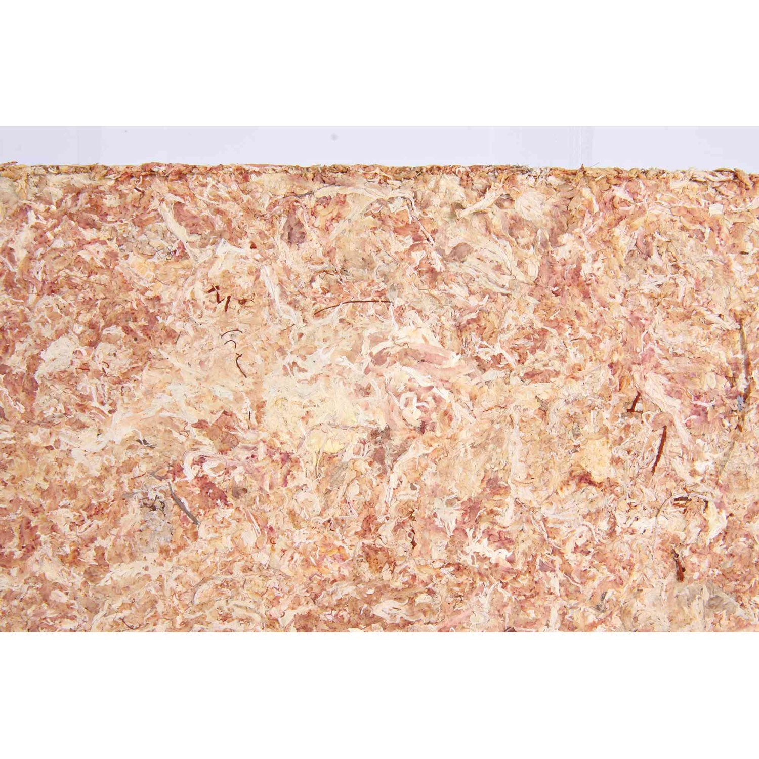Musgo Sphagnum