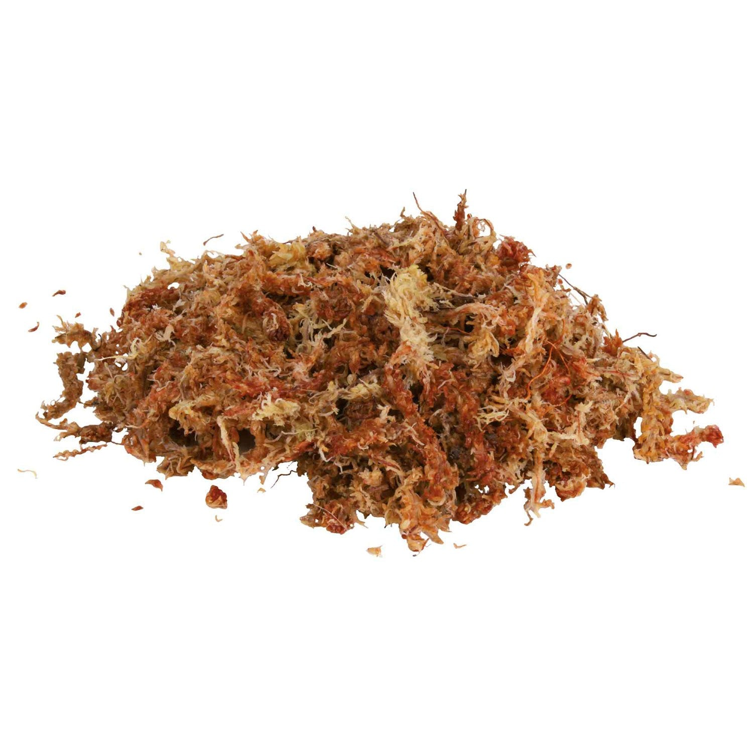 Musgo Sphagnum