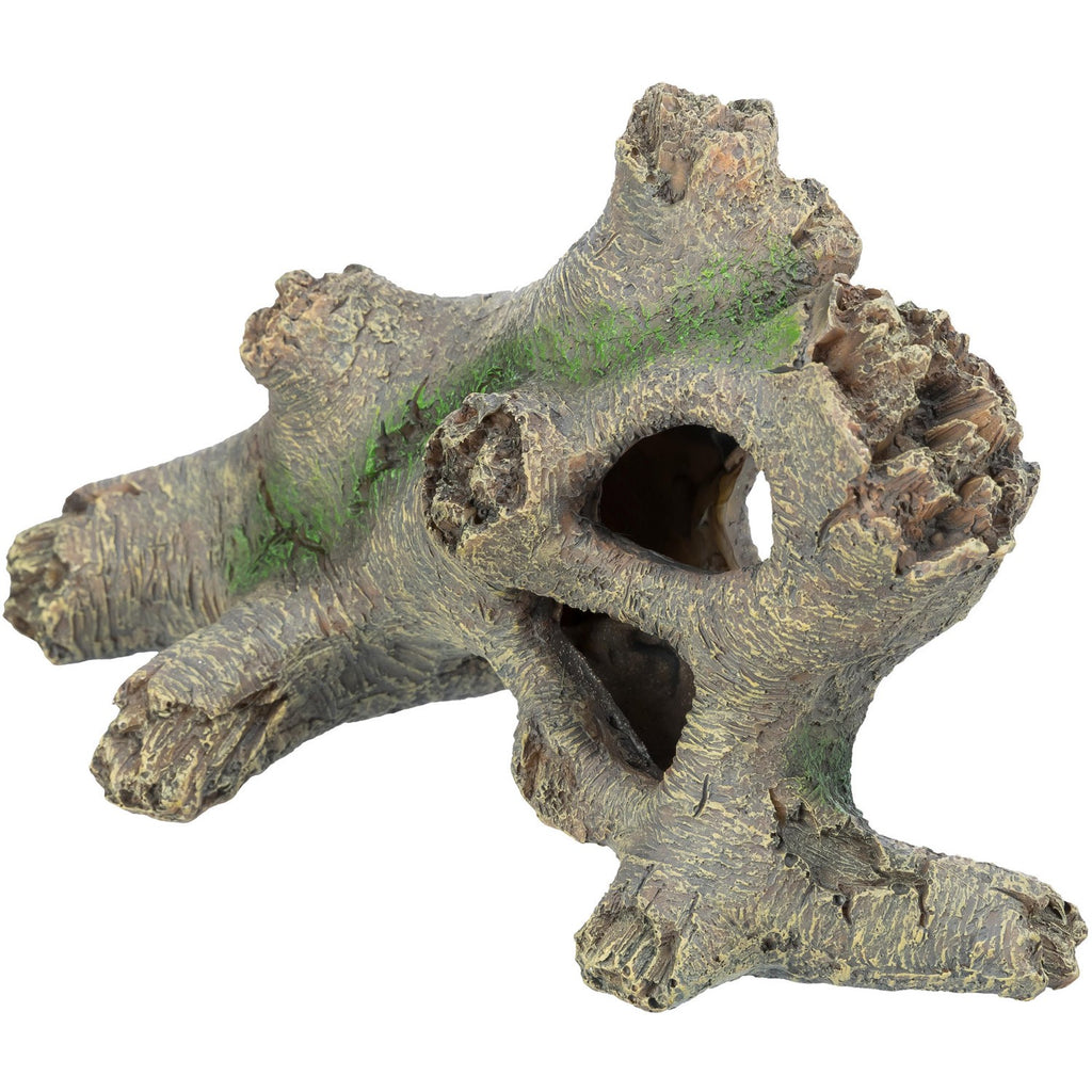 Tronco Hueco