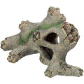 Tronco Hueco