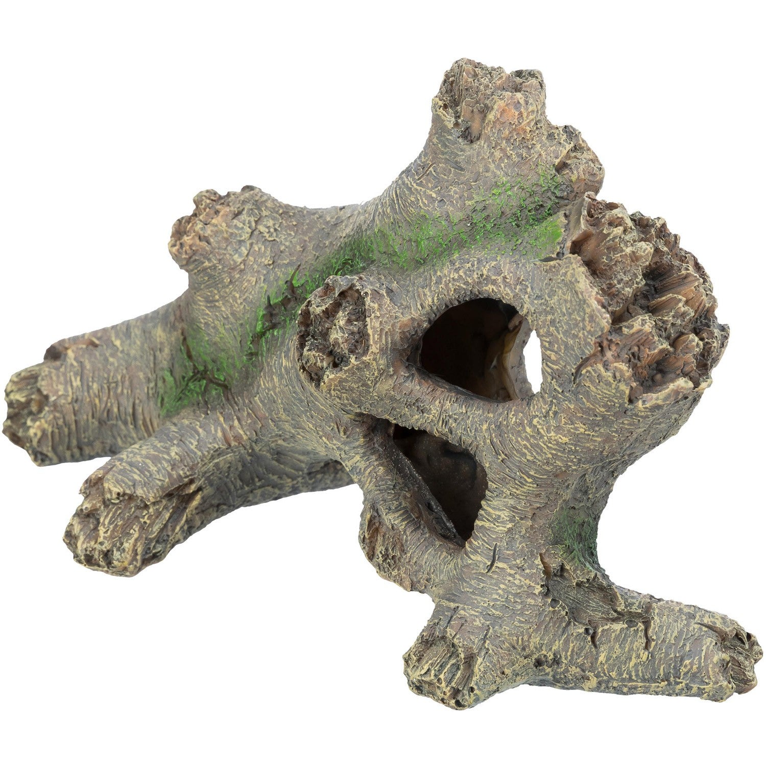 Tronco Hueco