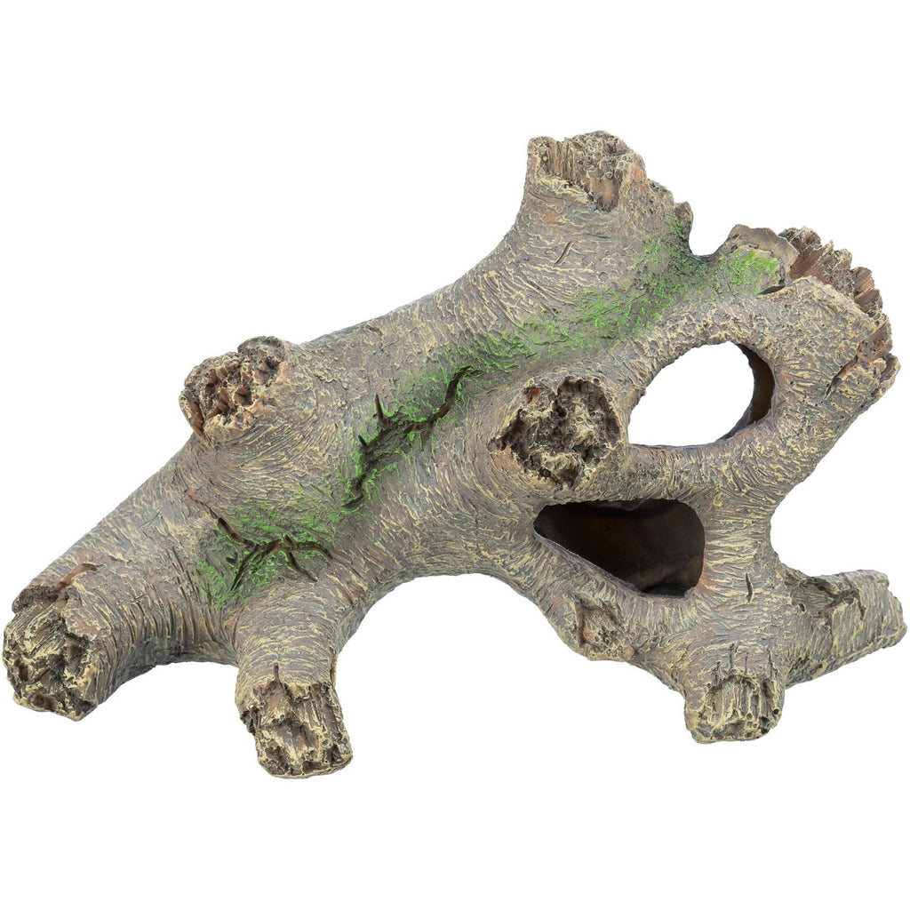 Tronco Hueco