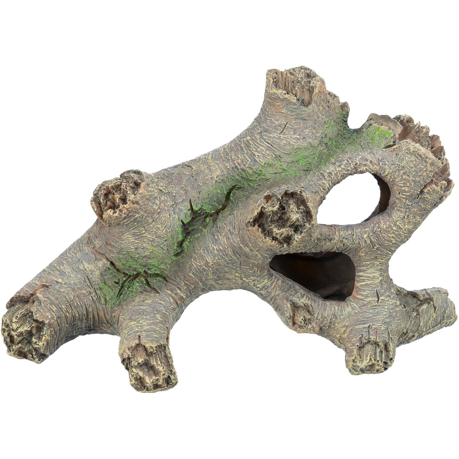 Tronco Hueco