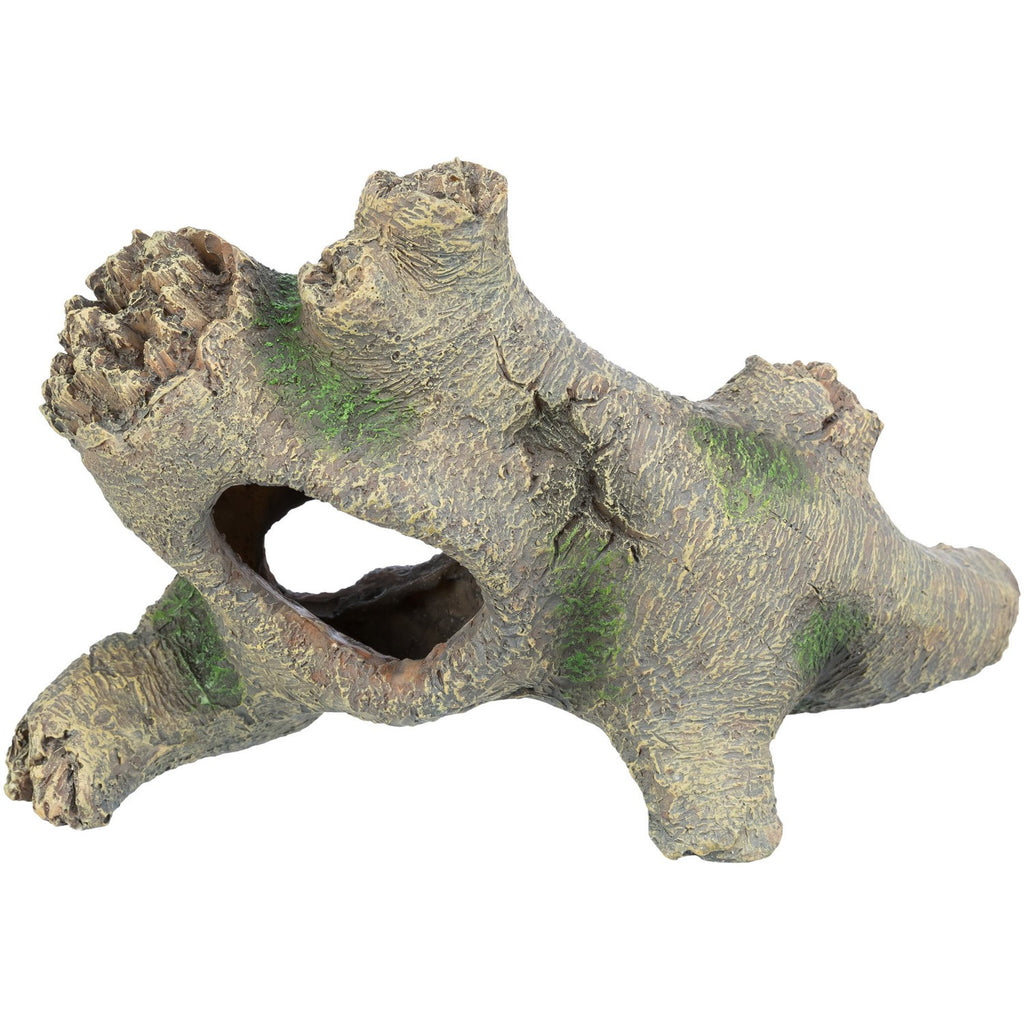 Tronco Hueco