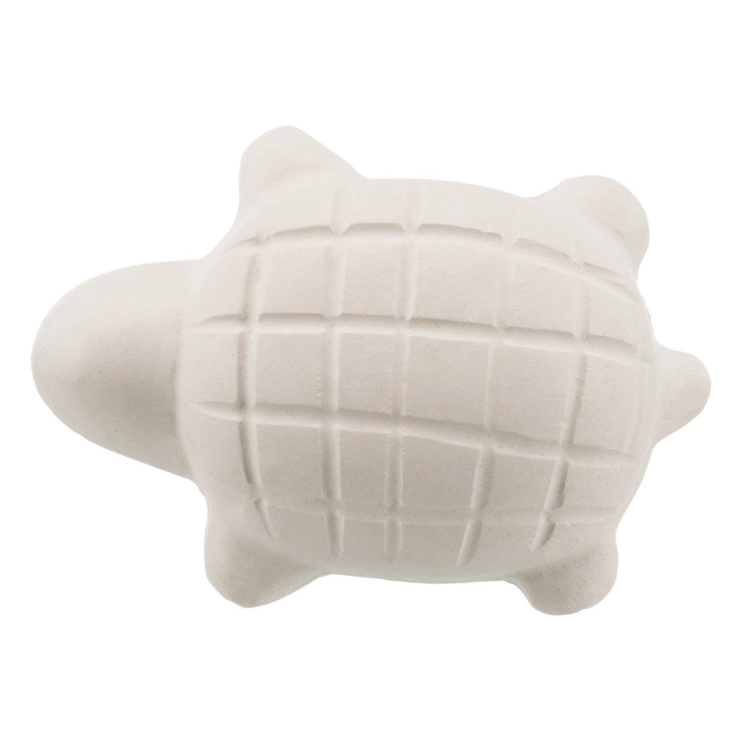 Acondicionador de Agua para Tortugas de Agua - Pack de 6 unidades
