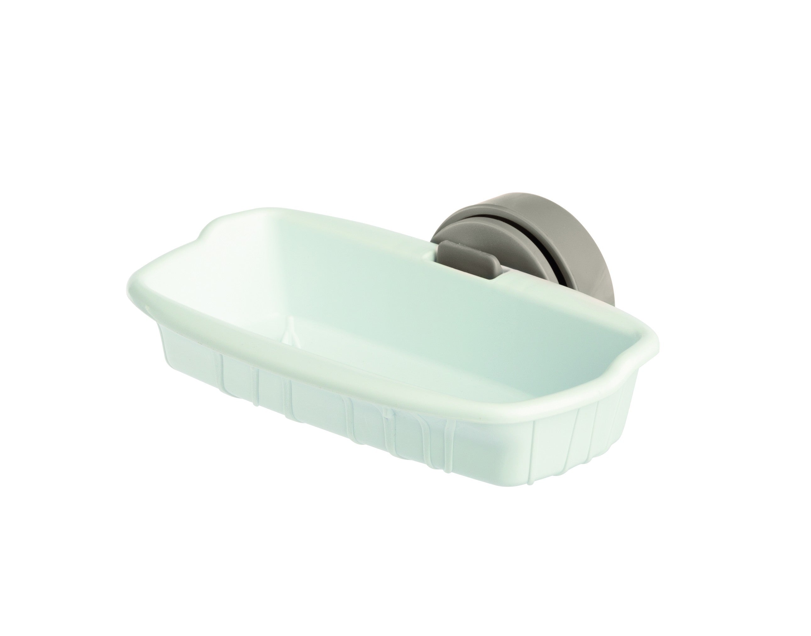 Porta-Bizcocho, Colores Variados