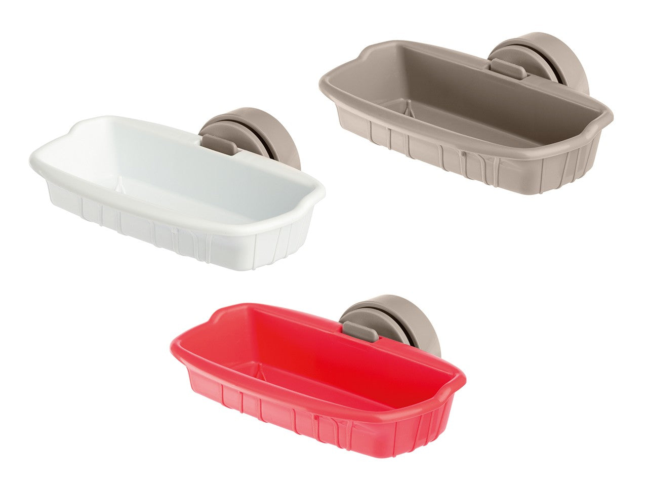 Porta-Bizcocho, Colores Variados