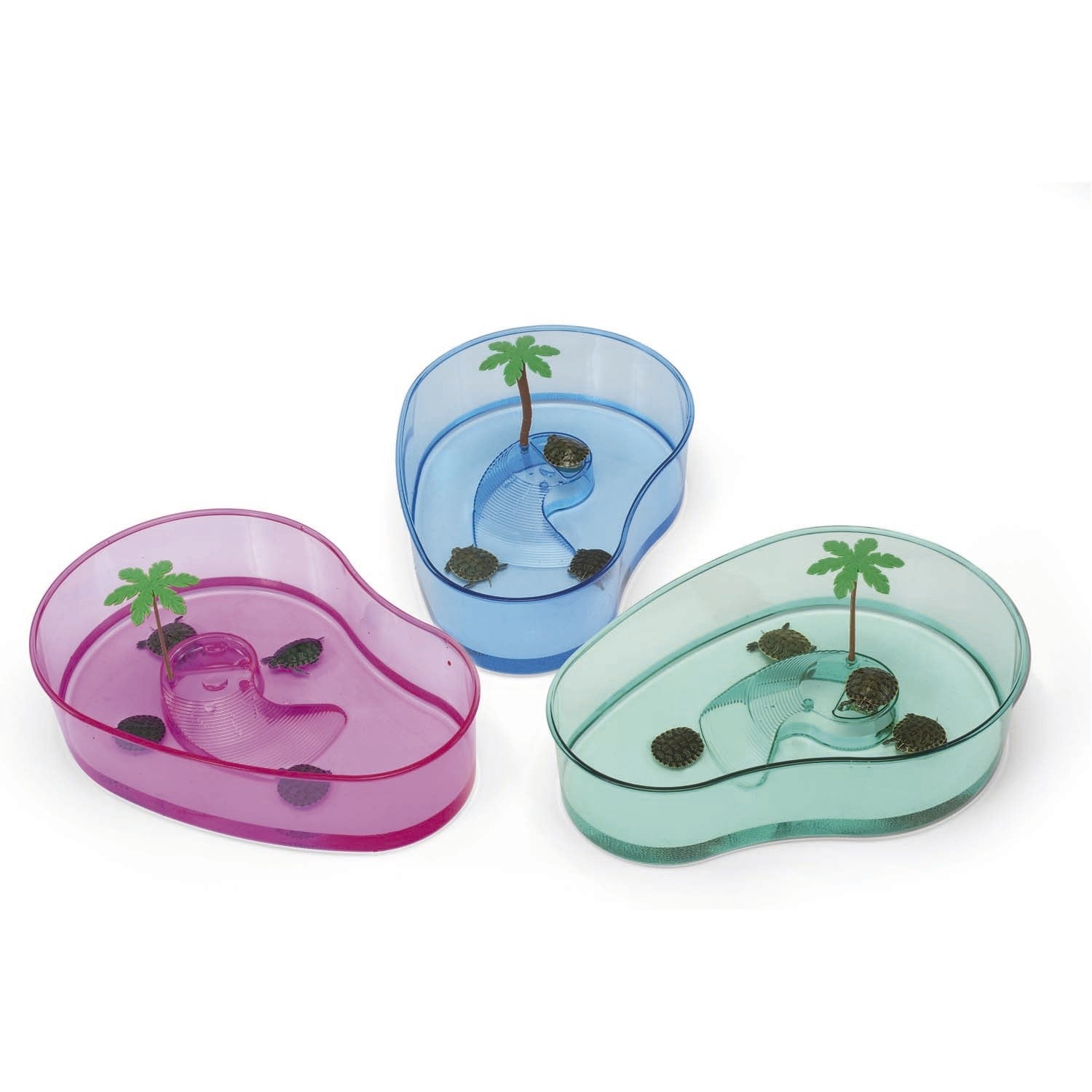 Tortuguera SAMMY, Colores Variados - Pack de 6 unidades
