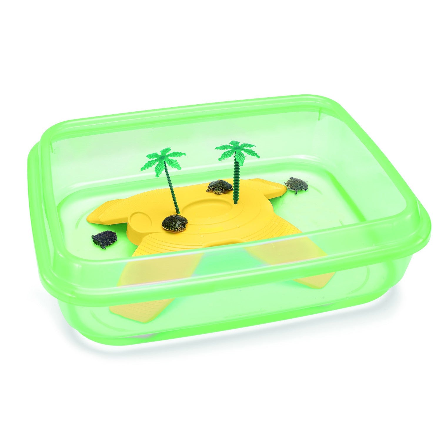 Tortuguera NINJA - Pack de 6 unidades Verde