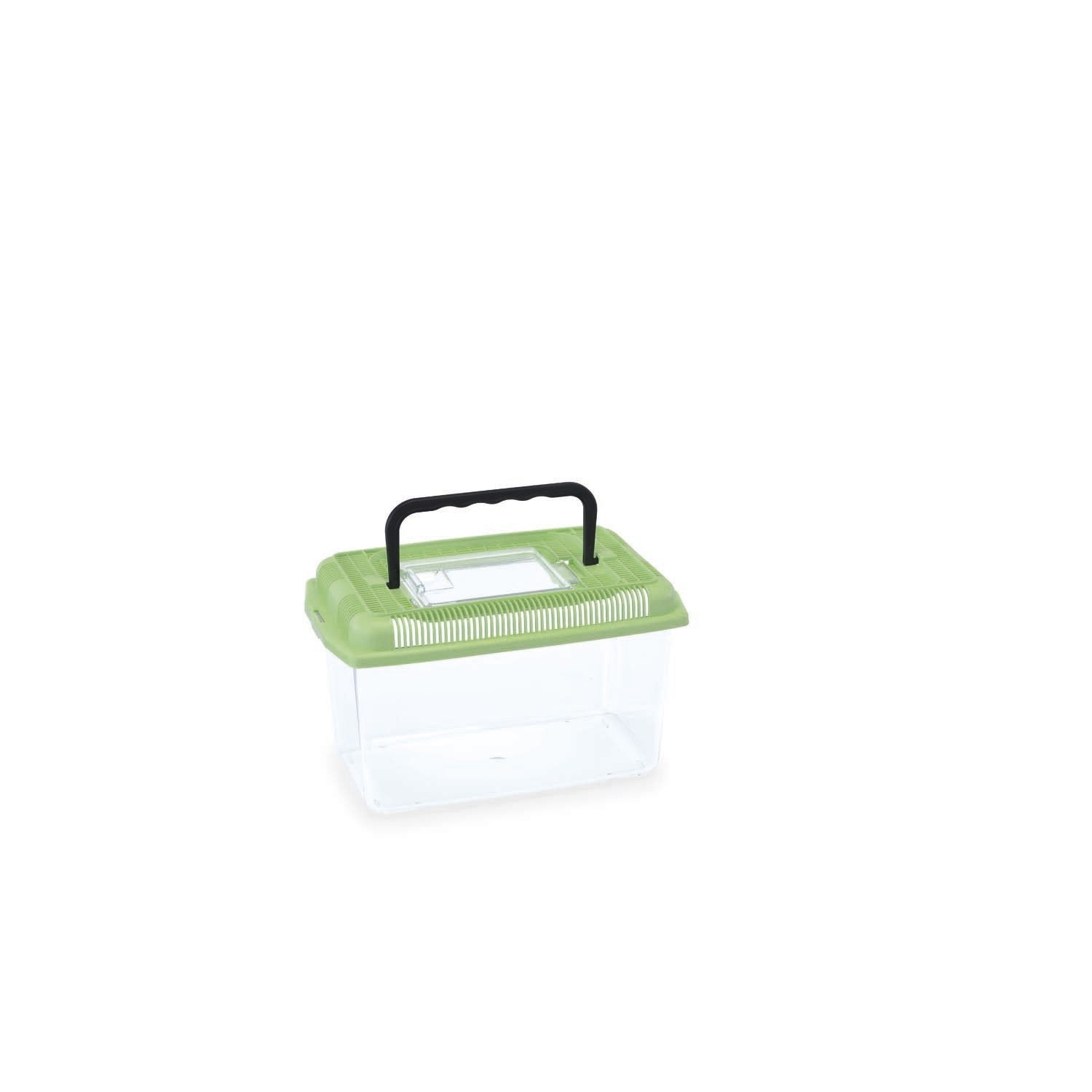 Tortuguera ARIEL SMALL, Colores Variados - Pack de 12 unidades