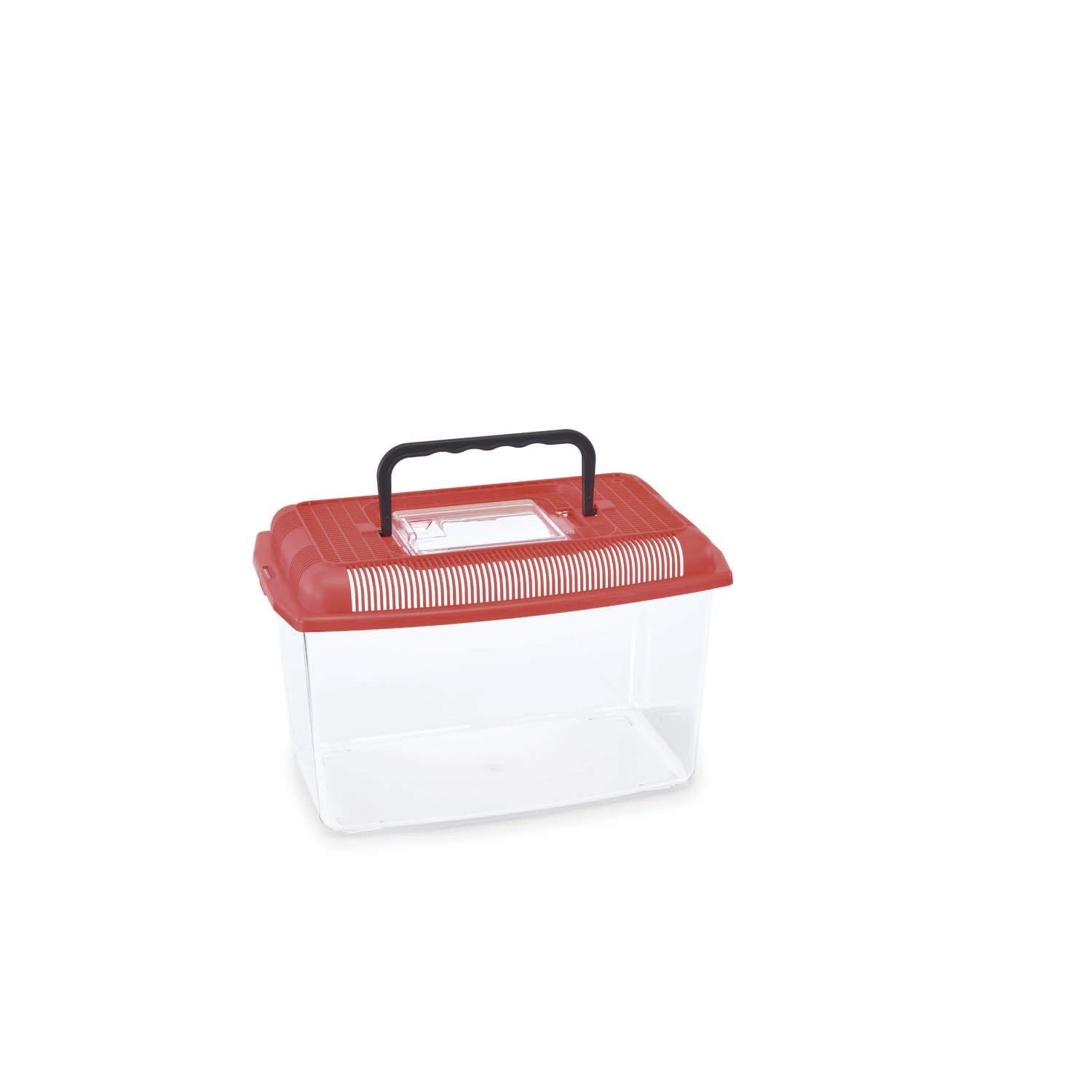 Tortuguera ARIEL MEDIUM, Colores Variados - Pack de 8 unidades