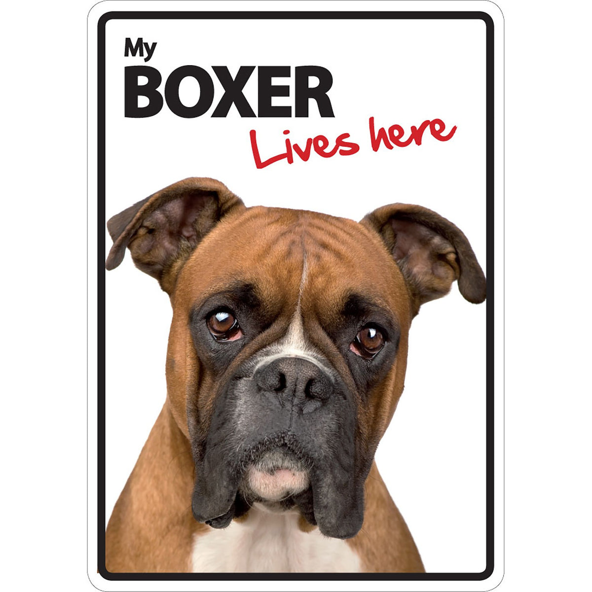 Señal A5 'Boxer - Lives Here'