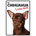 Señal A5 'Chihuahua - Lives Here'