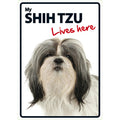 Señal A5 'Shih Tzu - Lives Here'