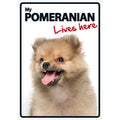 Señal A5 'Pomeranian - Lives Here'