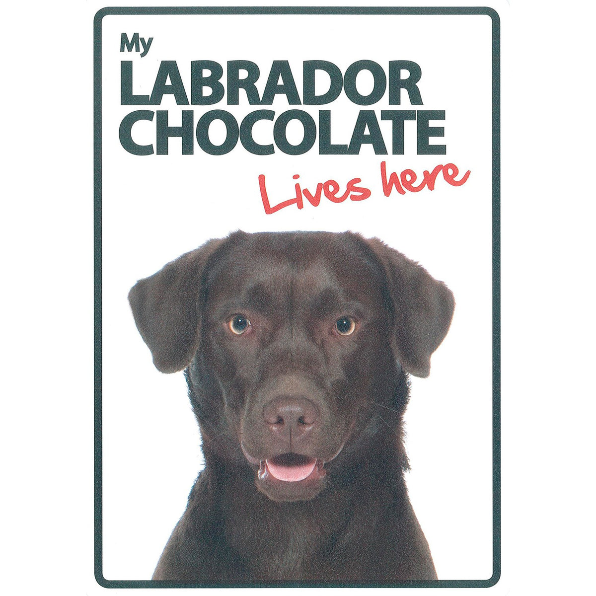 Señal A5 'Labrador Chocolate - Lives Here'