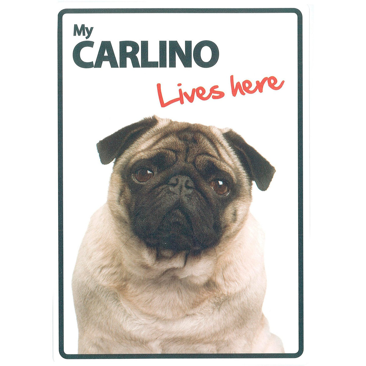 Señal A5 'Carlino - Lives Here'