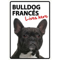 Señal A5 'Bulldog Francés - Lives Here'