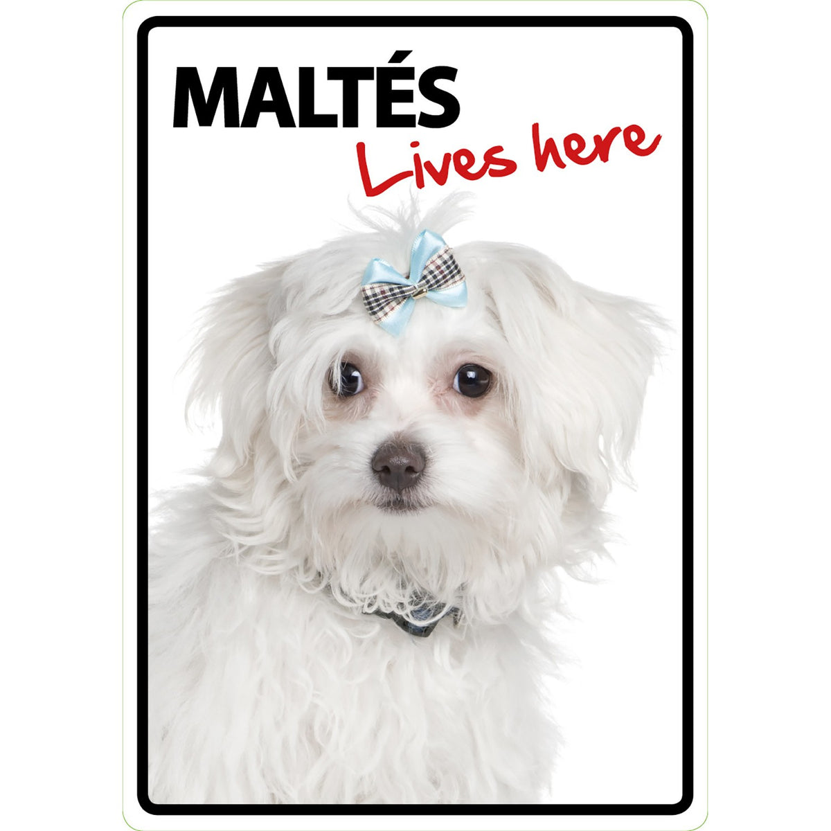 Señal A5 'Maltés - Lives Here'