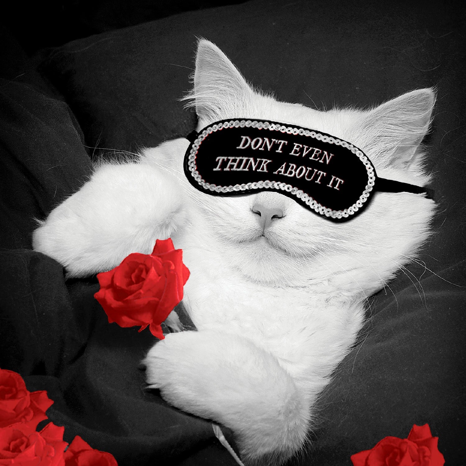 Tarjeta B/N Gato 'Don't Even Think…'