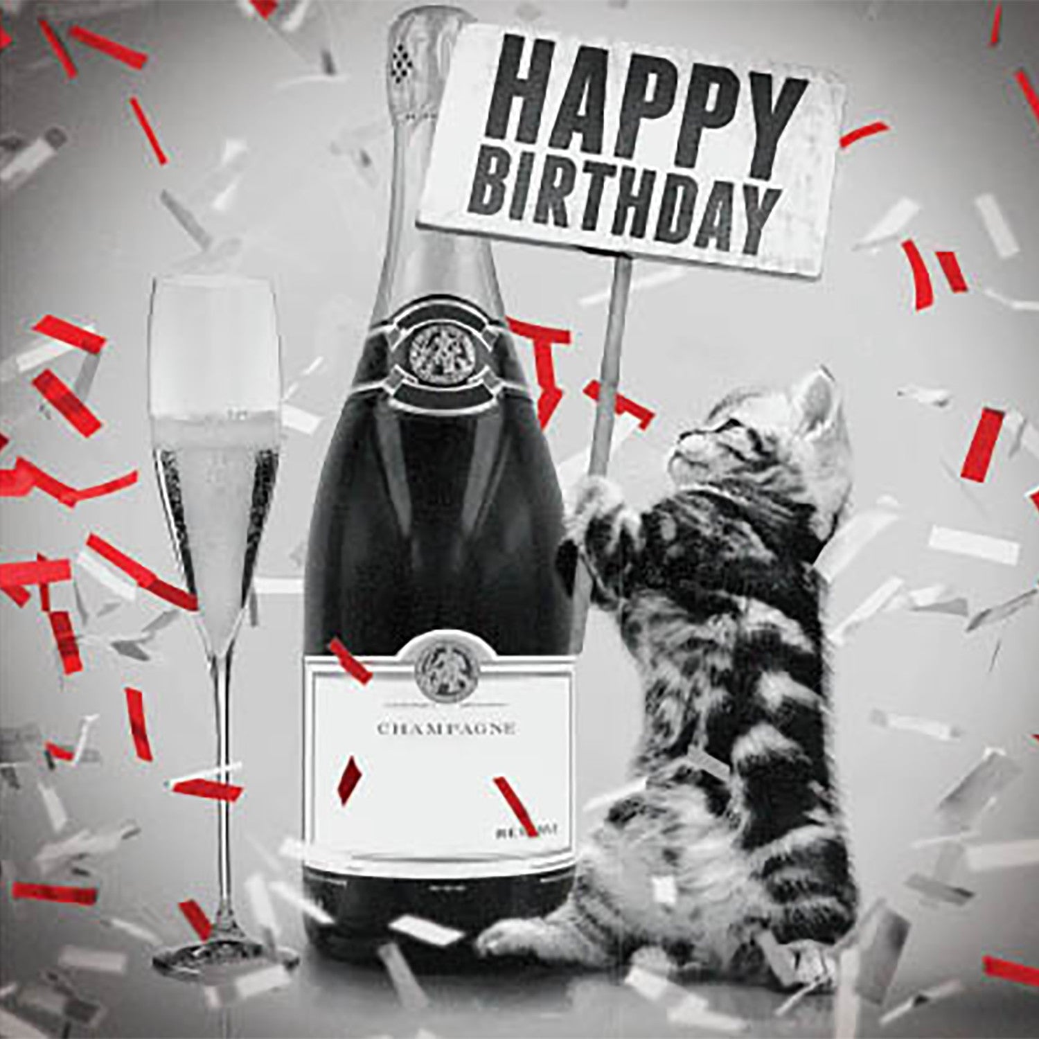 Tarjeta Gatito con Champán
