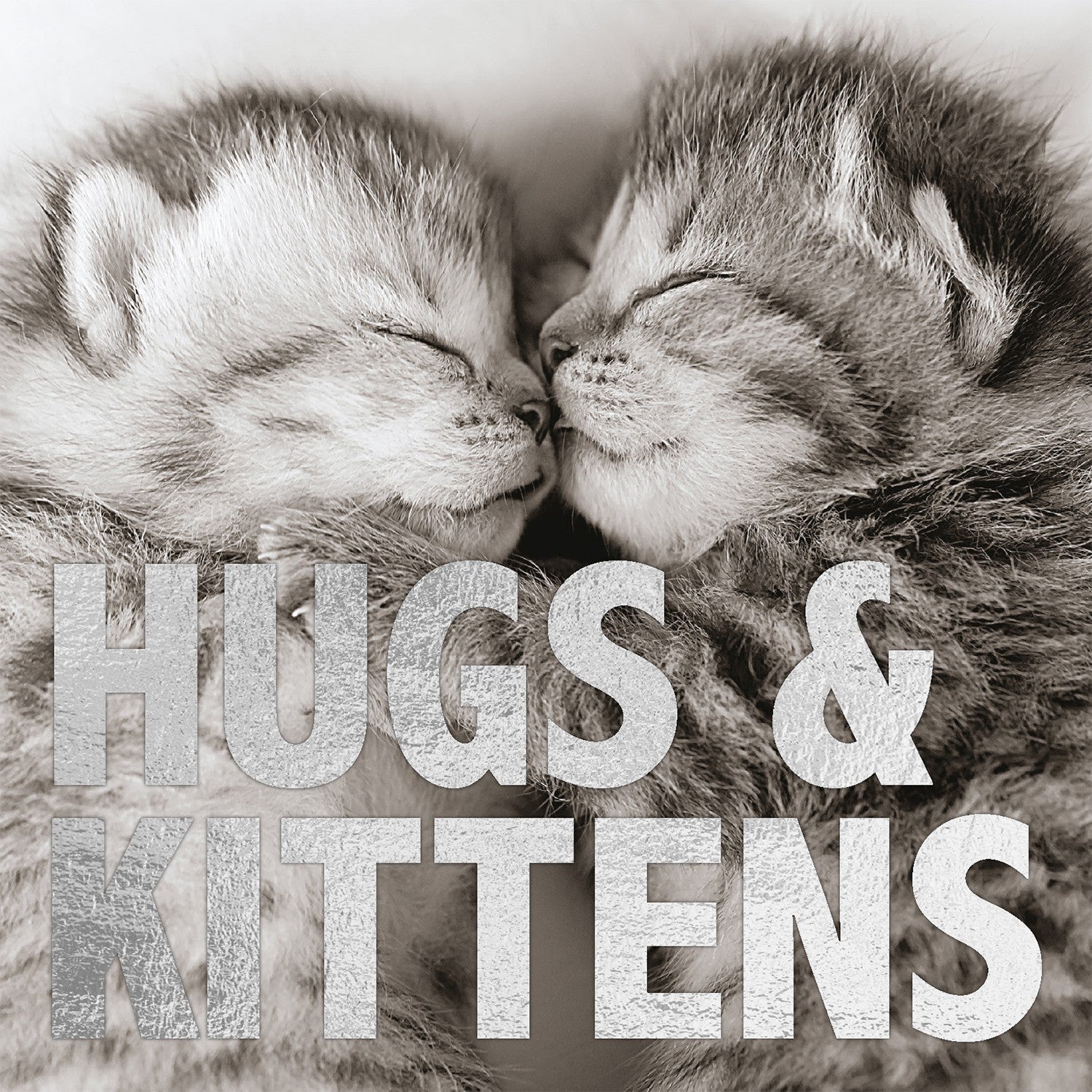 Tarjeta B/N Gatitos 'Hugs & Kittens'