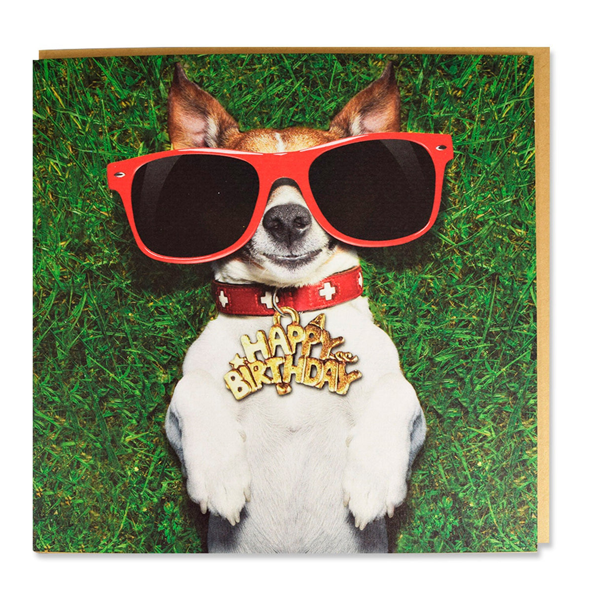 Tarjeta Jack Russel con Gafas 'Happy Birthday'