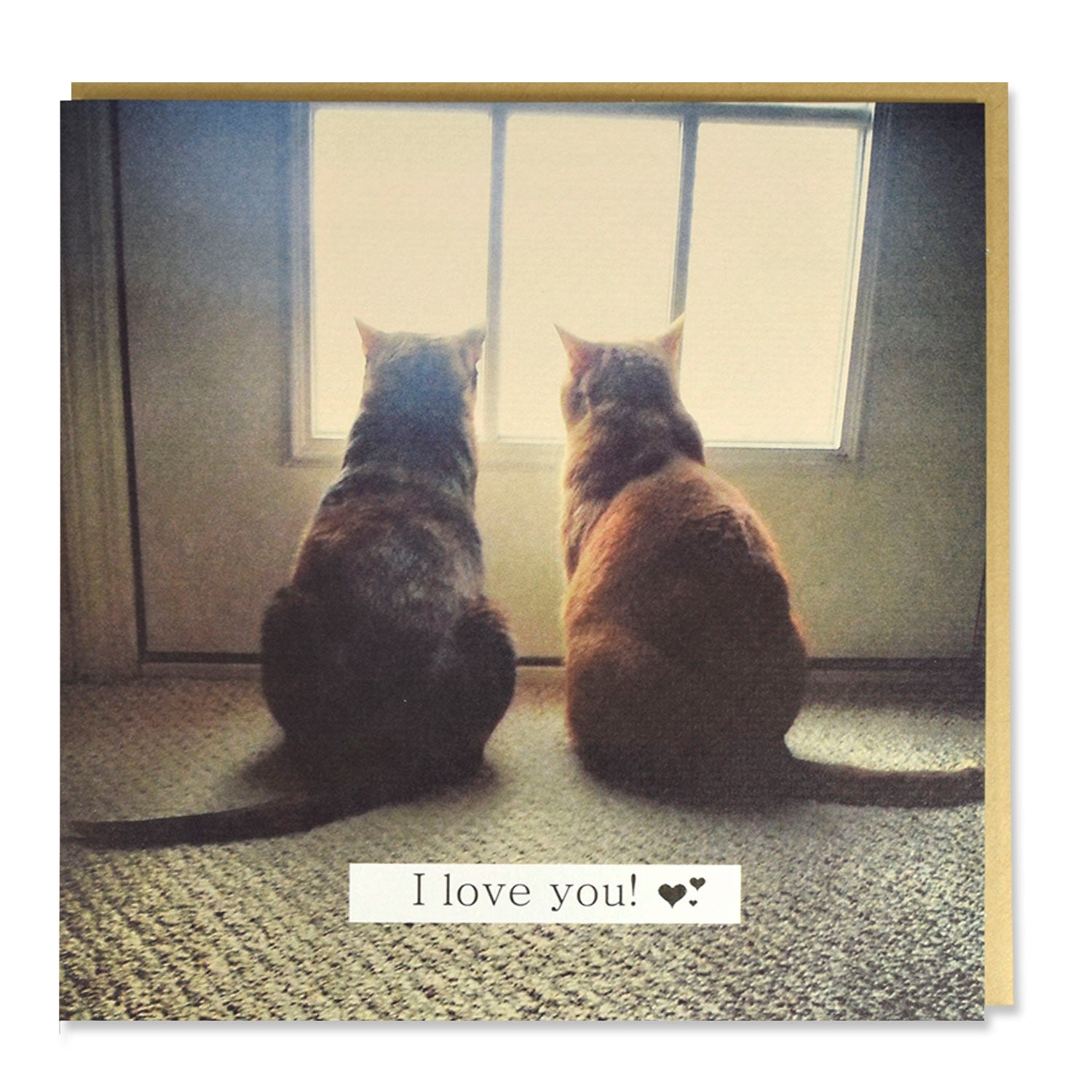 Tarjeta 2 Gatos 'I Love You'