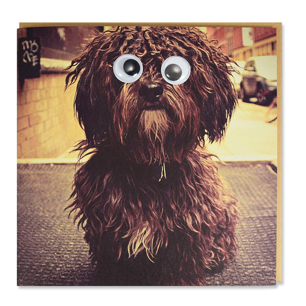 Tarjeta Fashion Shaggy Marrón con Ojos