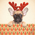 Tarjeta Frenchie con Astas de Reno