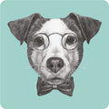 Posavasos Jack Russell