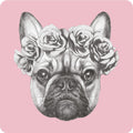 Posavasos Bulldog Francés