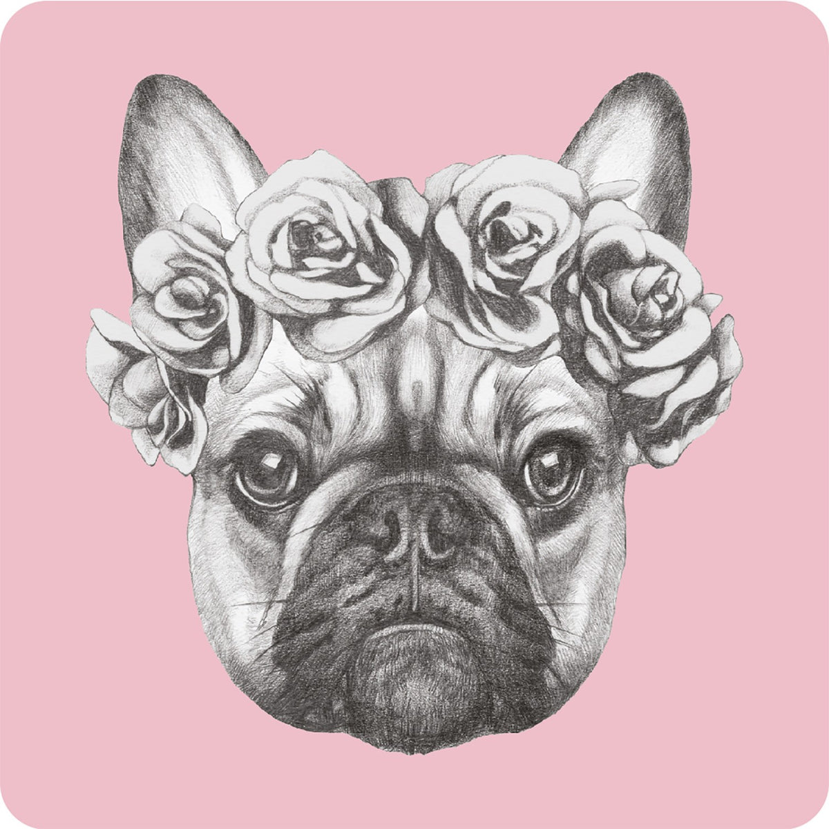 Posavasos Bulldog Francés