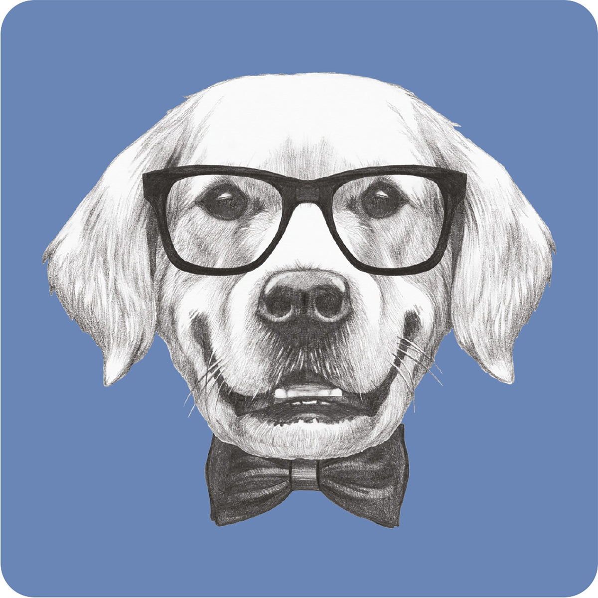 Posavasos Labrador