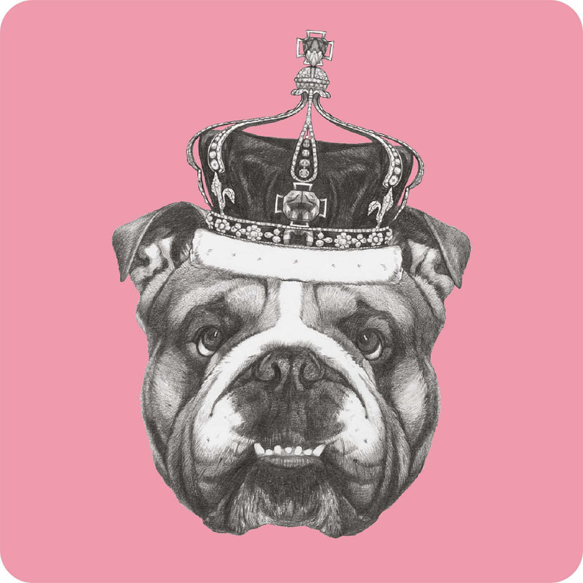 Posavasos Bulldog