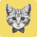 Posavasos Gato con Pajarita