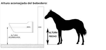 BEBEDERO CABALLOS PINTADO AUTOMATICO VERDE