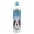 Champú Groom'n Fresh