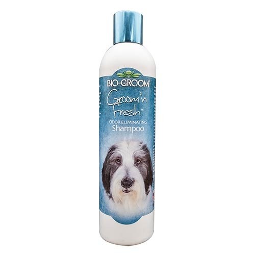 Champú Groom'n Fresh