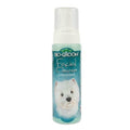 Champú en seco Facial Cleanser en espuma