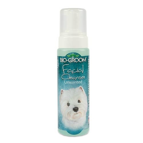 Champú en seco Facial Cleanser en espuma