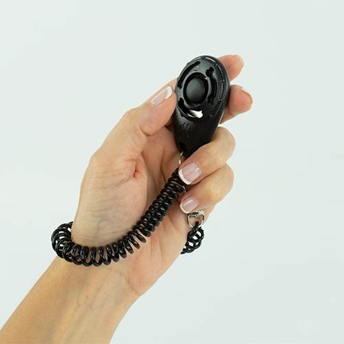Clicker con elástico Ibáñez