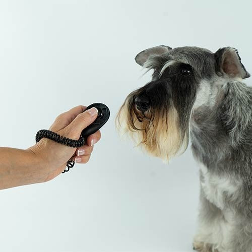 Clicker con elástico Ibáñez