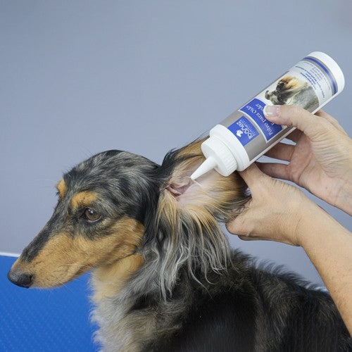 Polvo para oídos para perros Ibáñez