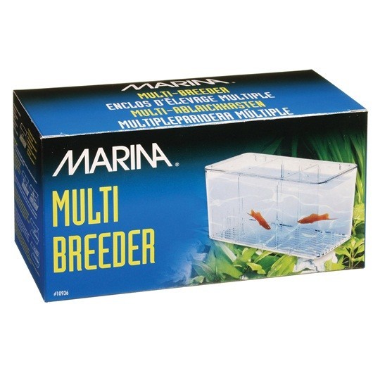 Marina Paridera, Multi