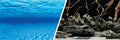 Marina 3D Fondo Marino/Natural 30,5cm X 7,6m