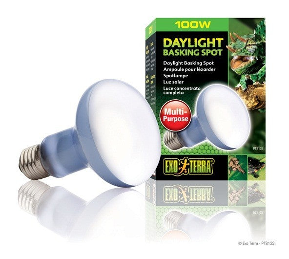 Exo Terra Daylight Basking Spot, 100W